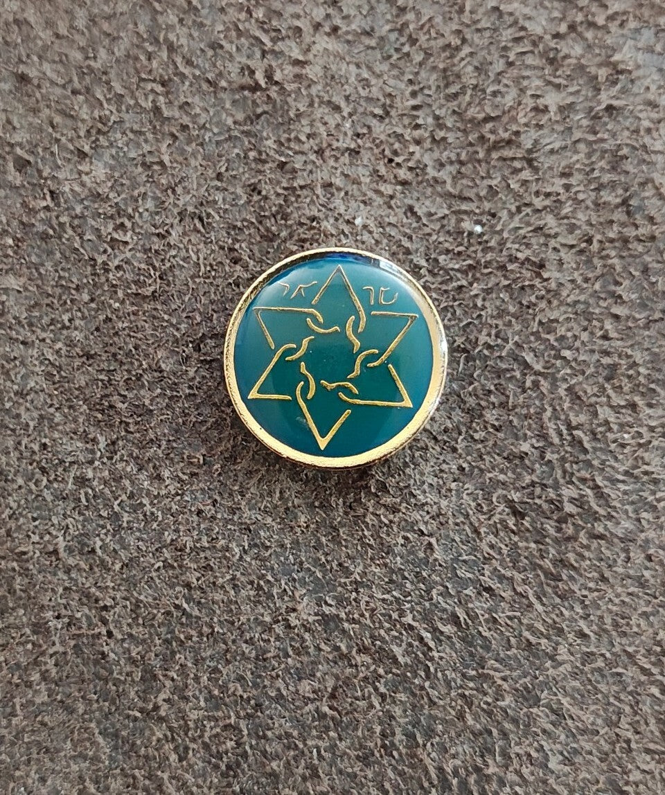 1980s Sar-El Israel Volunteer IDF Support Gold Tone Enamel Pin