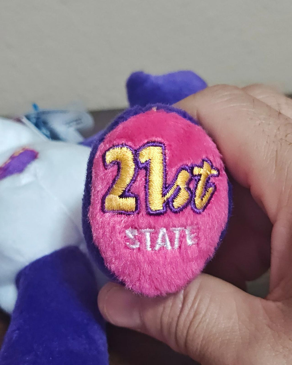 Close-up of plush bear paw badge: “21&3” text with “STATE” underneath.