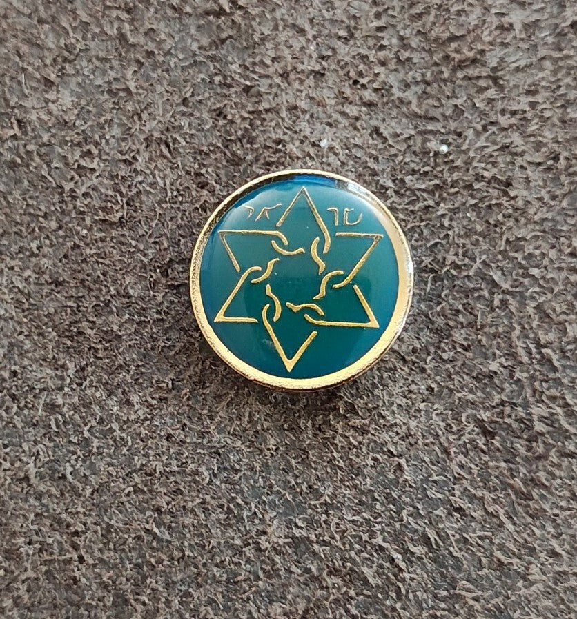 1980s Sar-El Israel Volunteer IDF Support Gold Tone Enamel Pin
