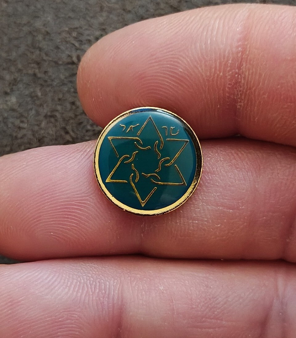 1980s Sar-El Israel Volunteer IDF Support Gold Tone Enamel Pin