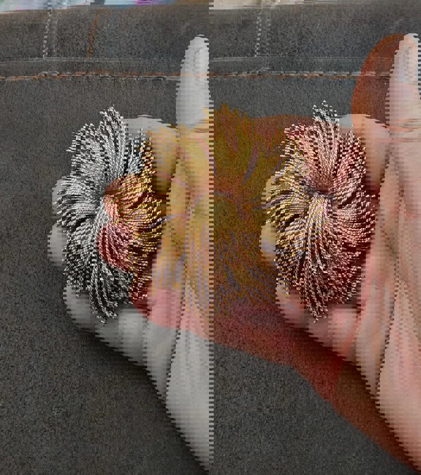 1980's Celebrity NY Gold Tone Starburst Twisted Rope Large Brooch