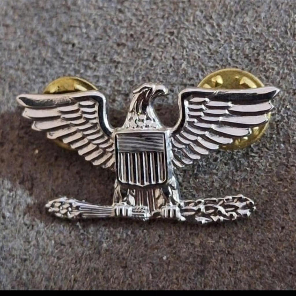 Eagle rank pin with silver wings, central shield, and gold-toned circular backing