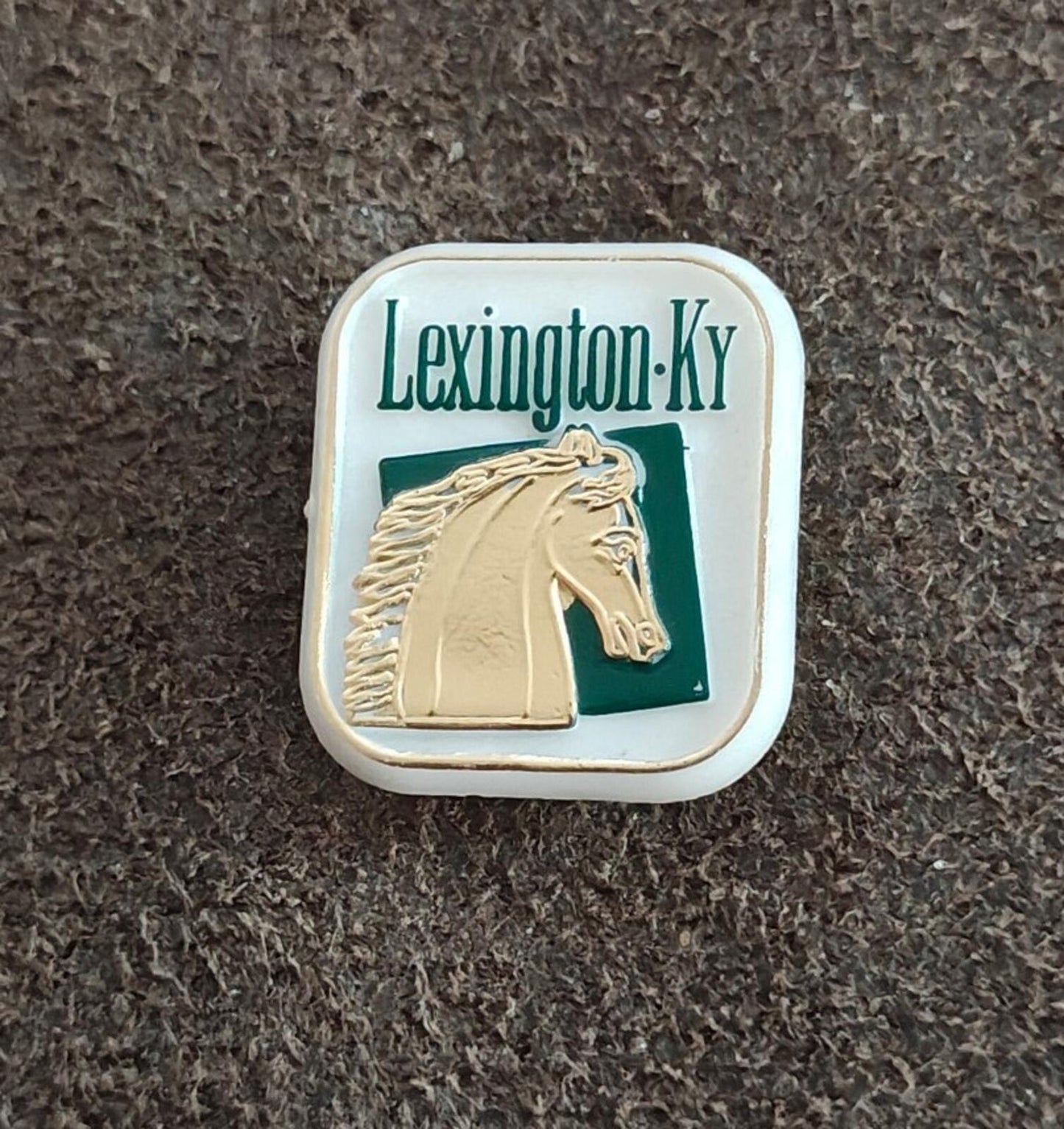 1970s/80s Lexington, Kentucky Travel Plastic Souvenir Pin