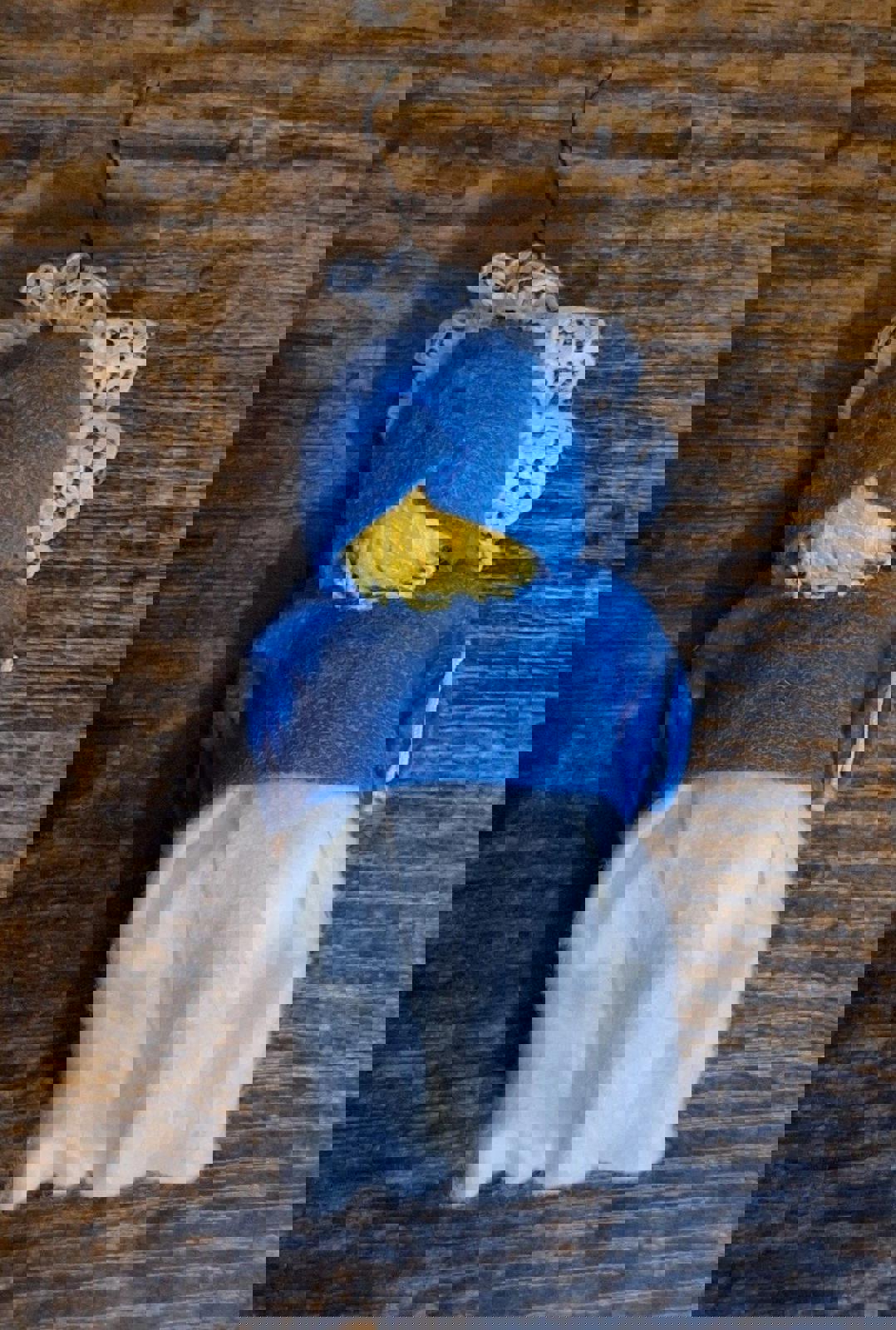 Handmade Vintage Pilgrim Girl Ornament Figurine