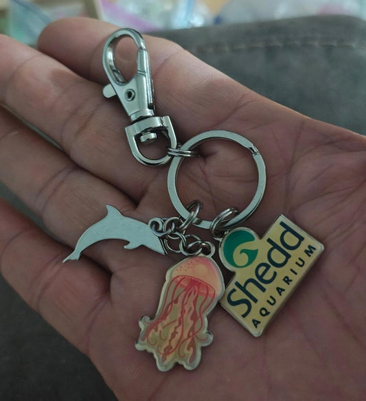 1990s Vintage Shedd Aquarium Chicago Jellyfish Nettles Dolphin Charms Keychain