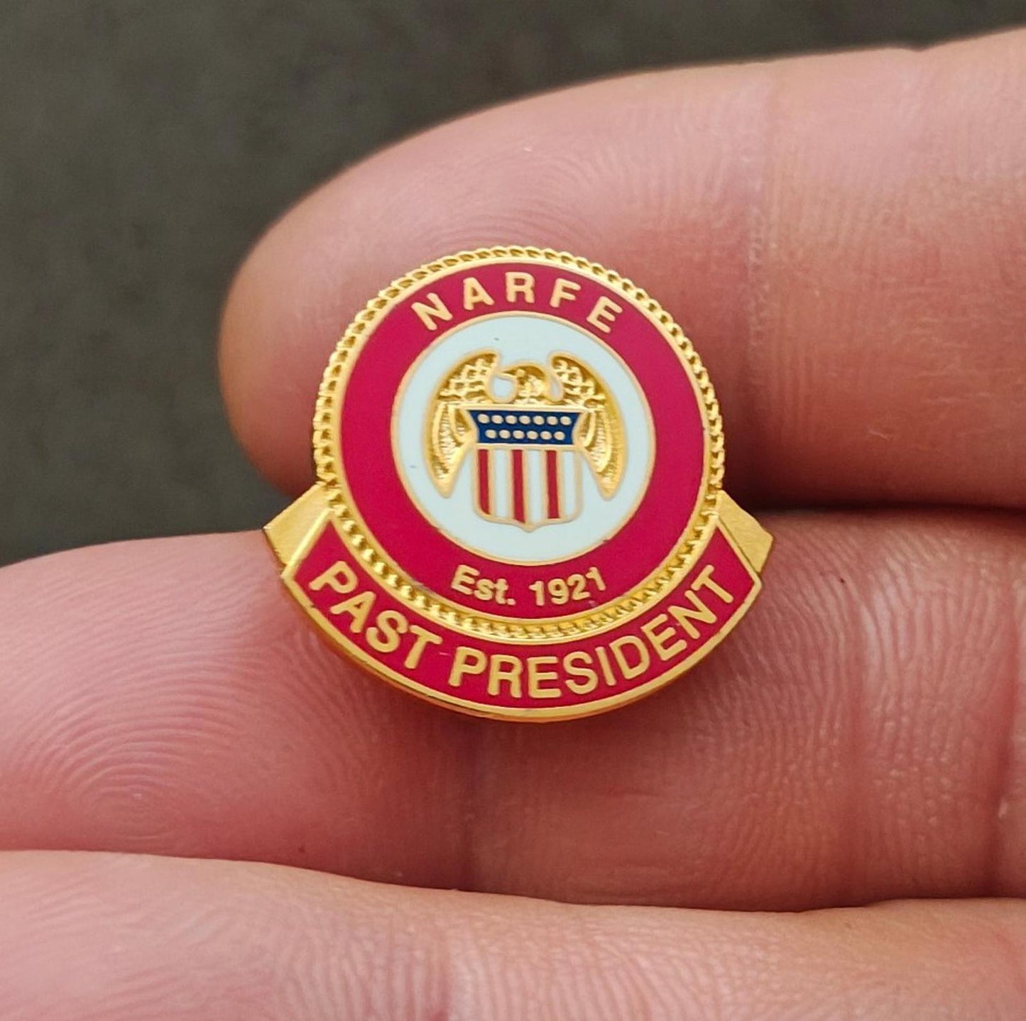 1990's National Active and Retired Federal Employees Association Pin