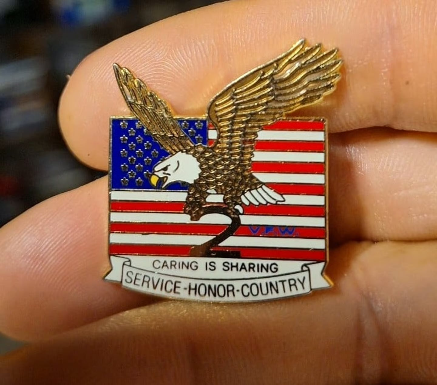 Military Caring Is Sharing Service Honor Country Flag Pin