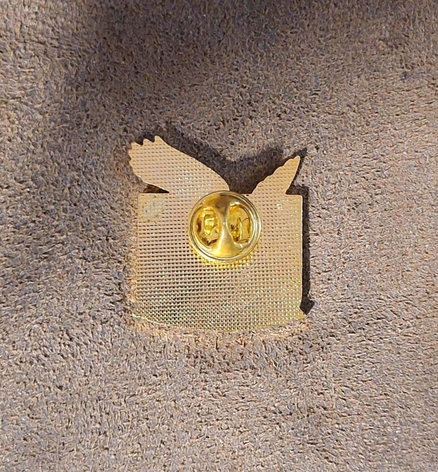 Military Caring Is Sharing Service Honor Country Flag Pin