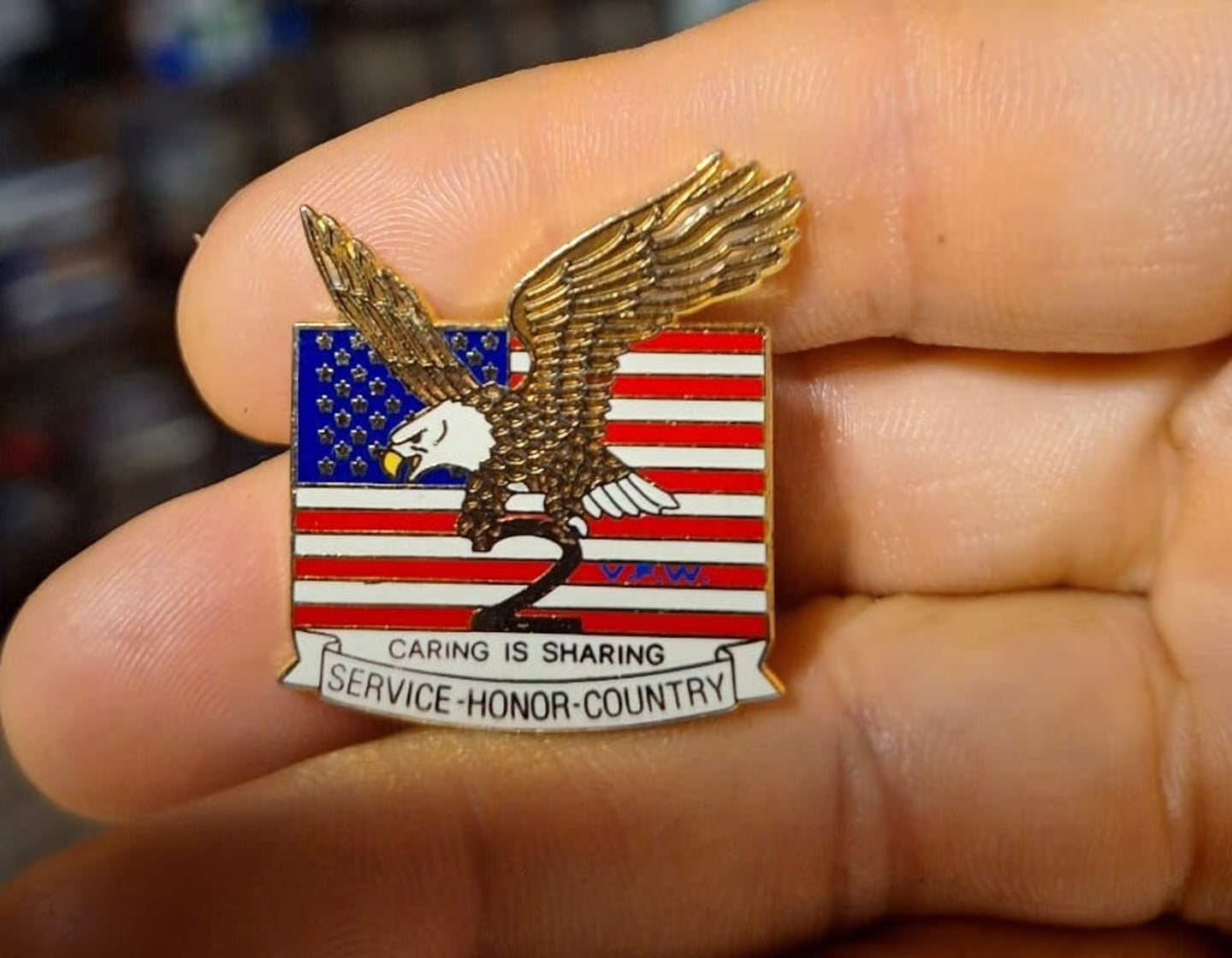 Military Caring Is Sharing Service Honor Country Flag Pin