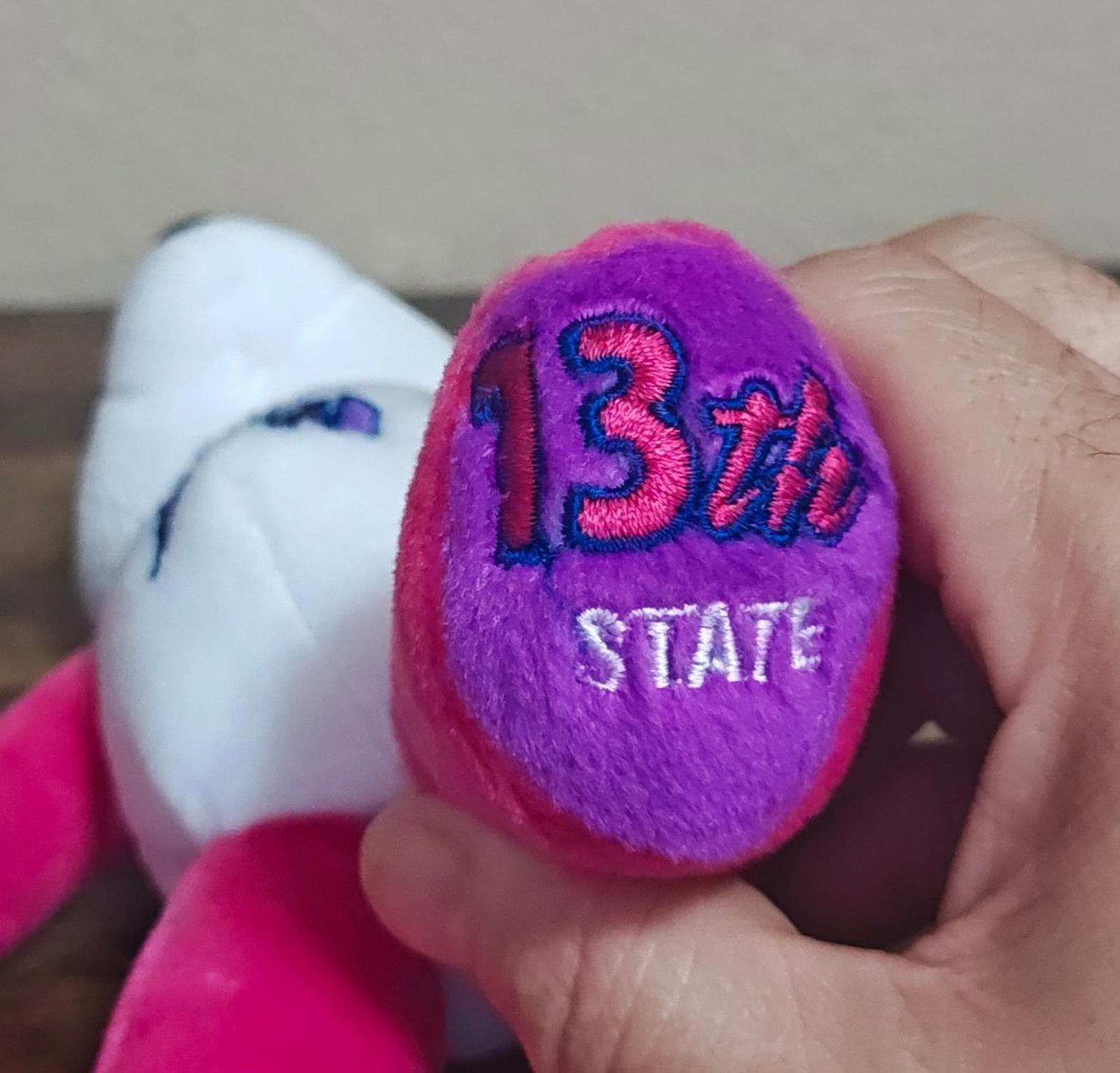 Close-up of plush toe with embroidered “13th STATE” text on purple felt.