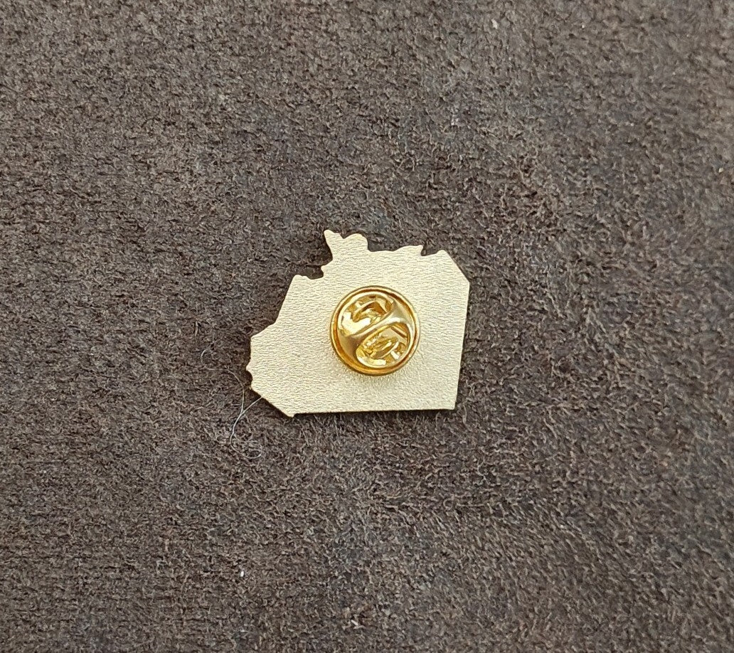 Retro Record Player Gold Tone Enamel Pin