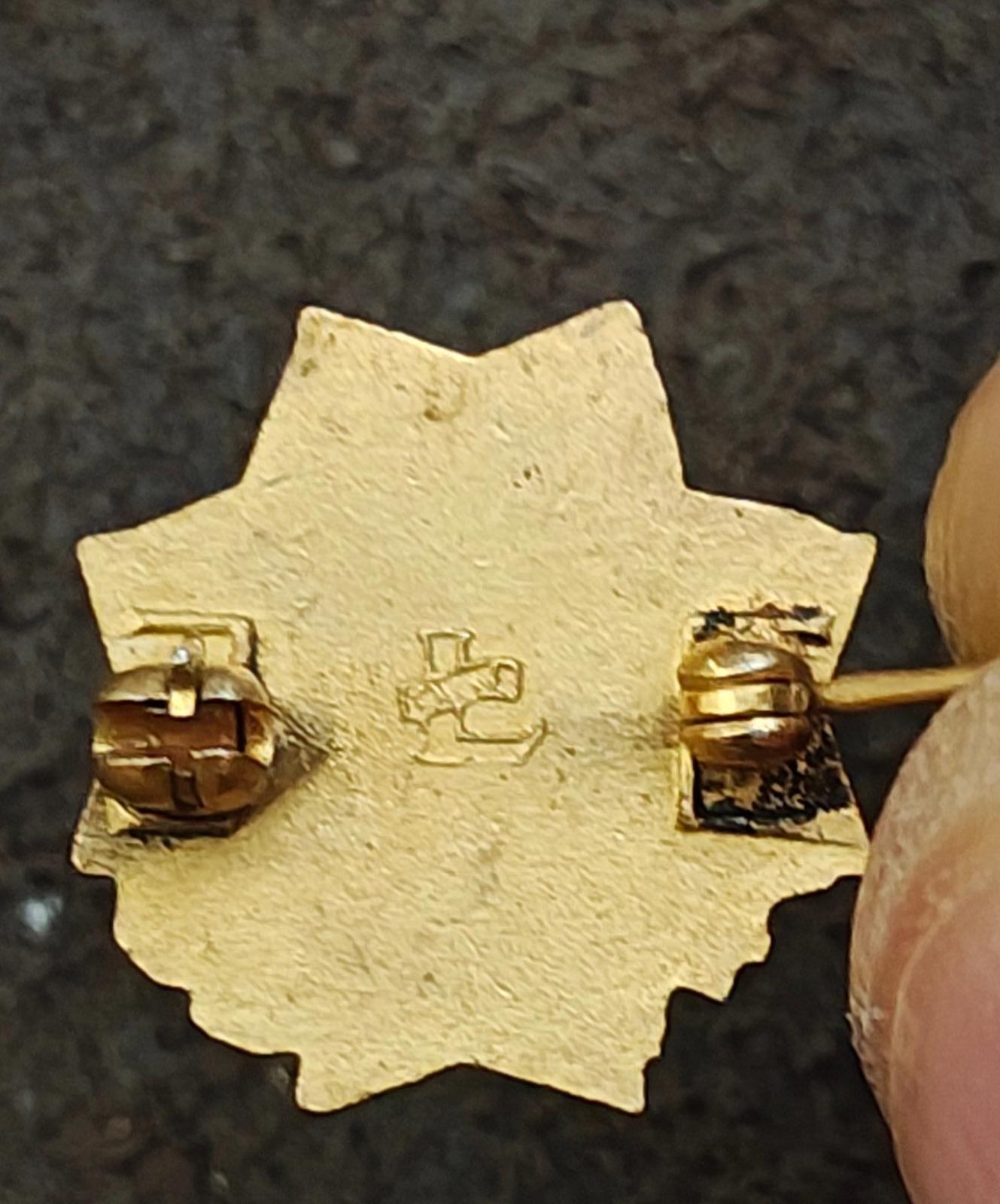 1940's Veterans Of Foreign Wars (VFW) Auxiliary Gold Tone Pin