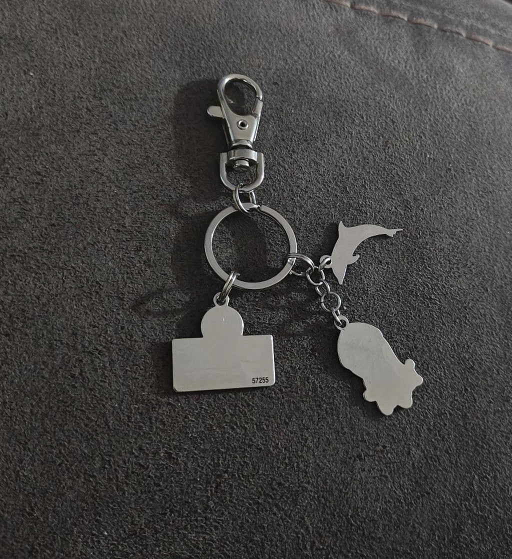 Silver keychain with dolphin silhouettes and blank metal tag charms