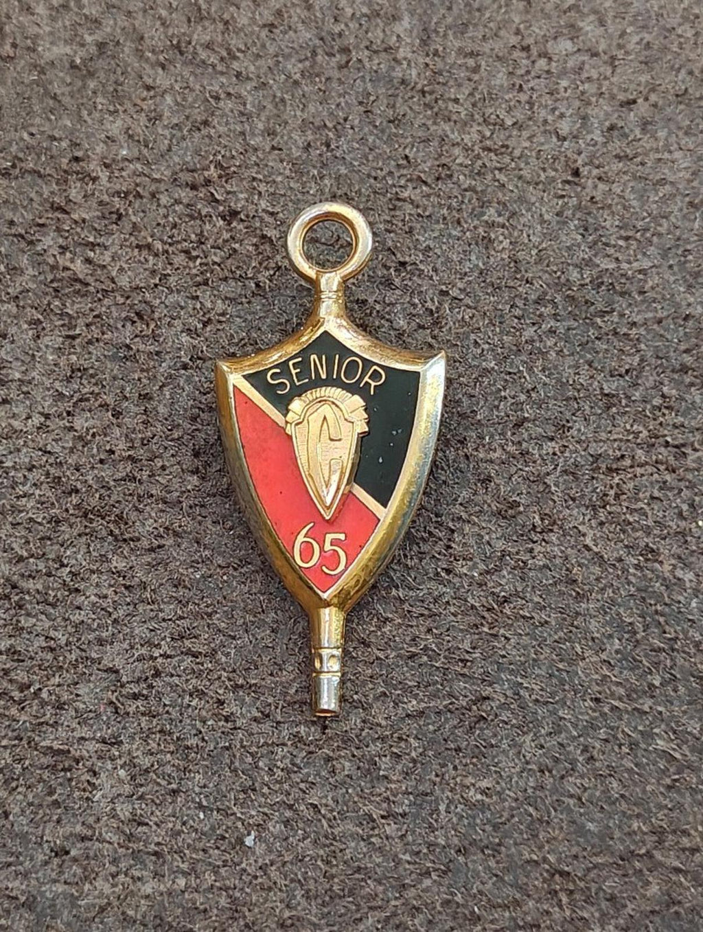 1965 Senior Class Pendant and Pin