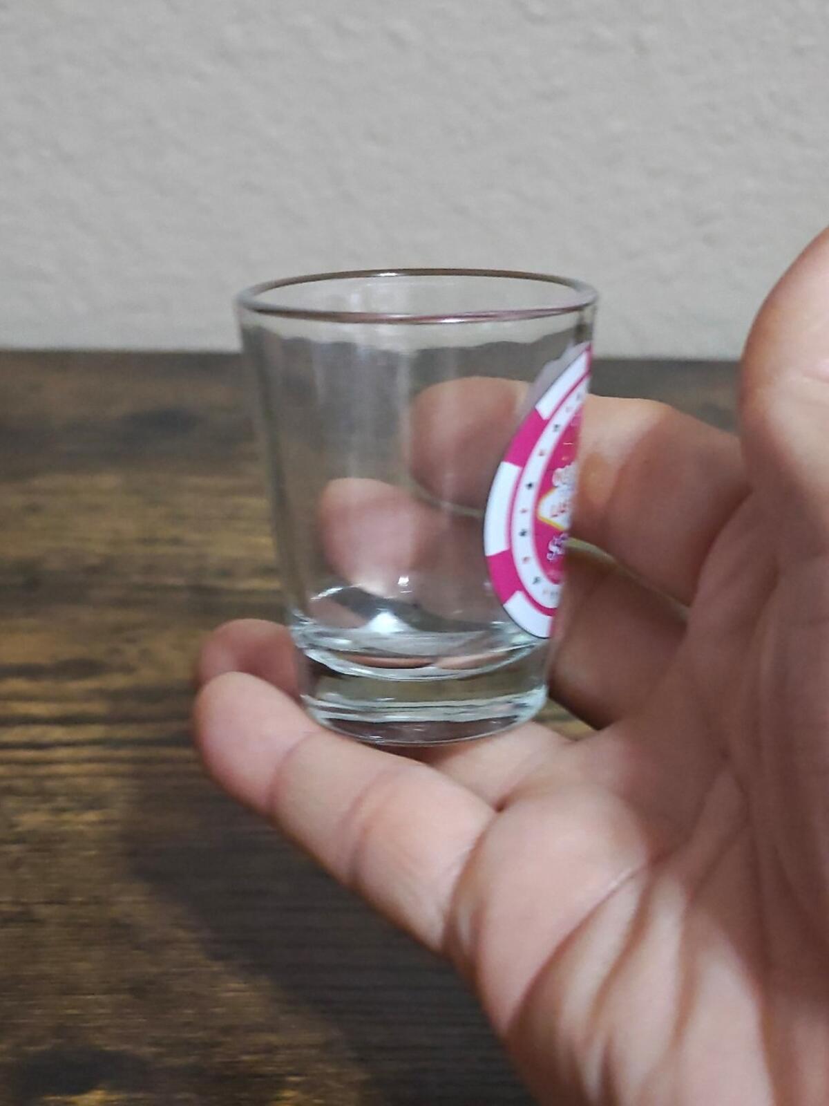 Welcome To Fabulous Las Vegas Nevada $500 Casino Chip Style Shot Glass