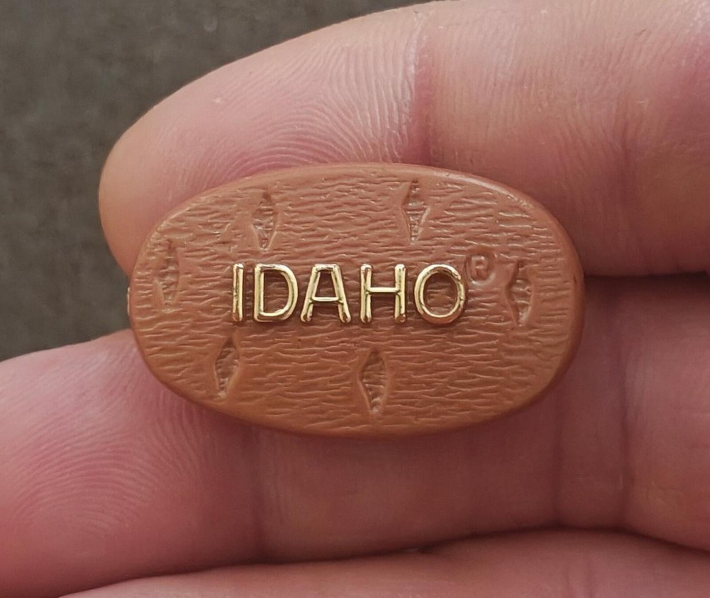 1980s Idaho State Potato Plastic Pin
