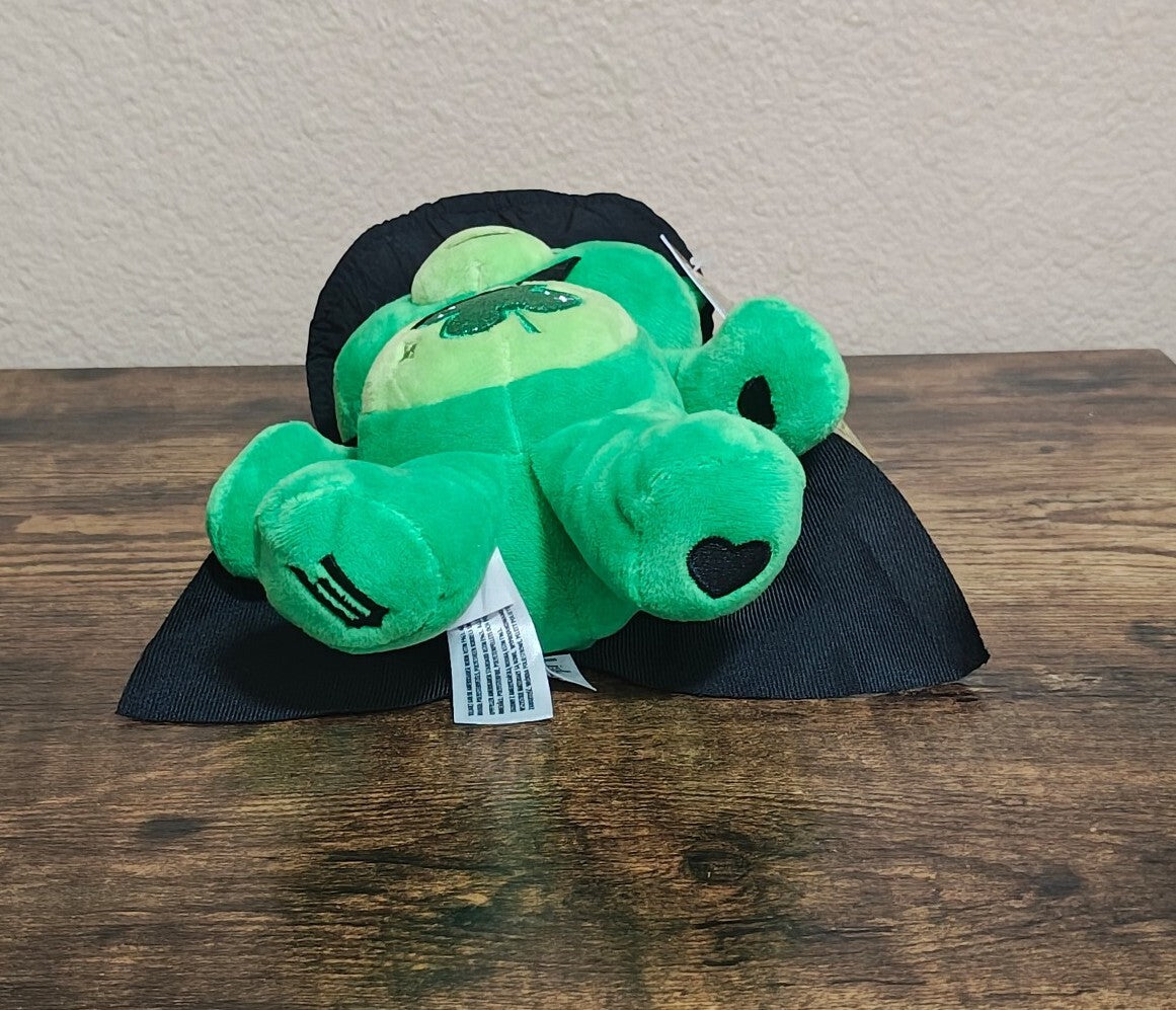 Rare Chase Variant Care Bears x Wicked Good Luck Bear as Elphaba Plush NWT