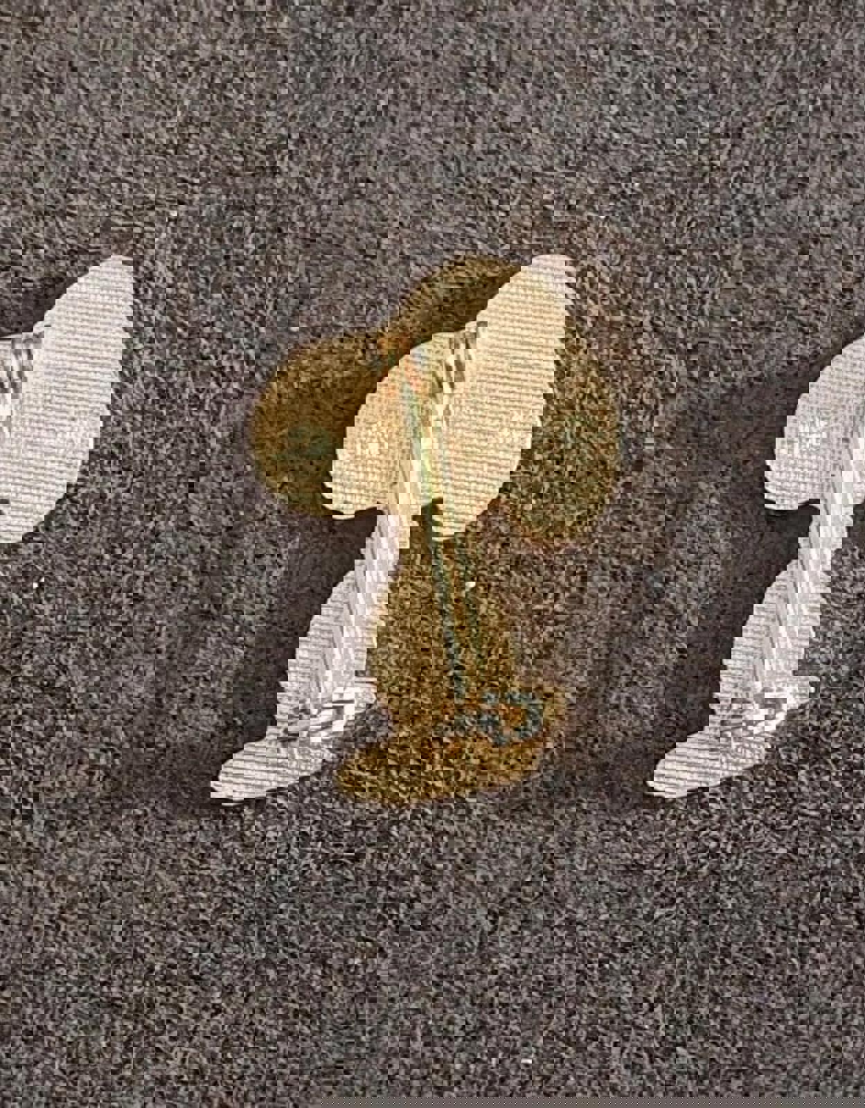 1970s Vintage Rare Aviva Snoopy Gold Tone Enamel Pin