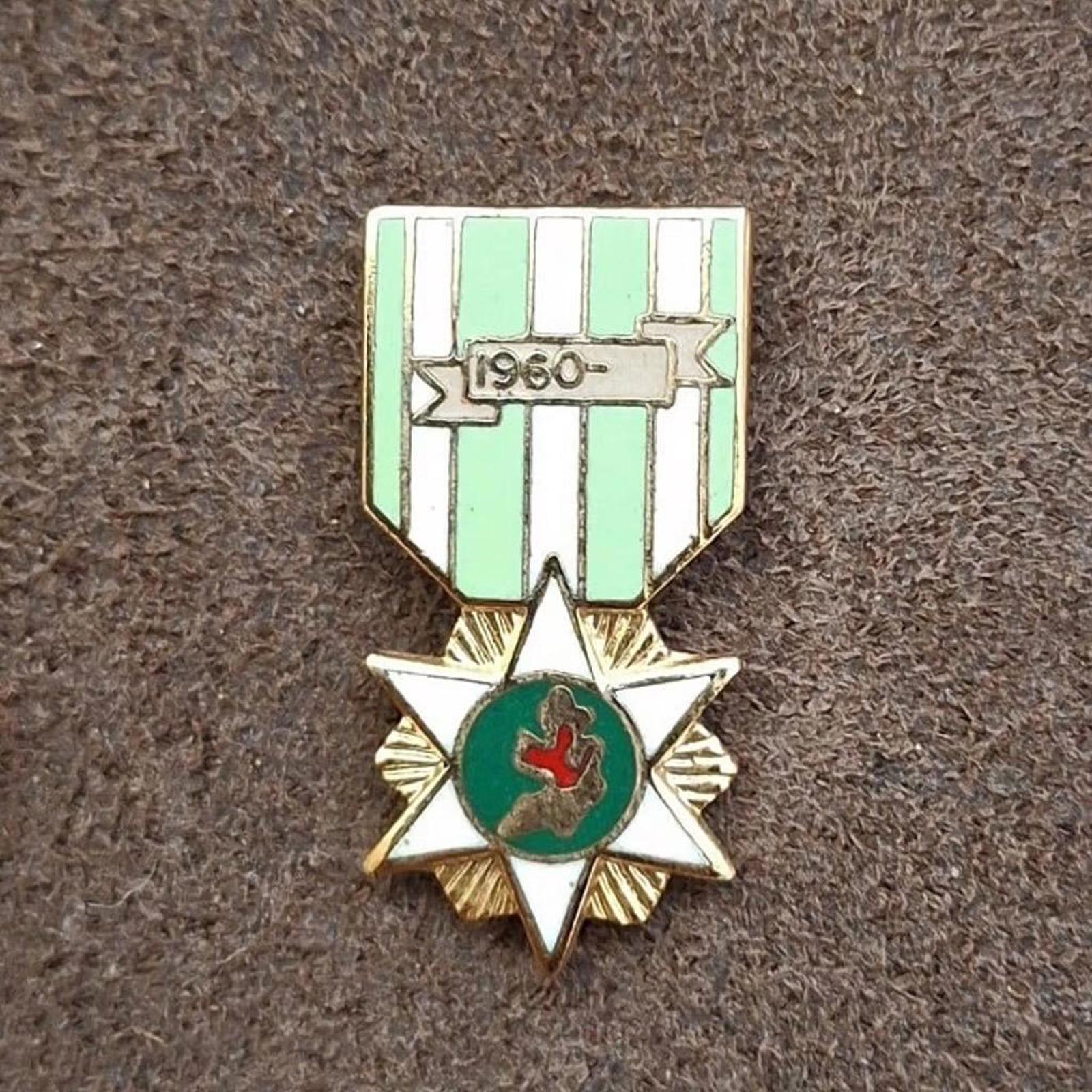 Green-and-white enamel campaign pin with starburst design and red center emblem.
