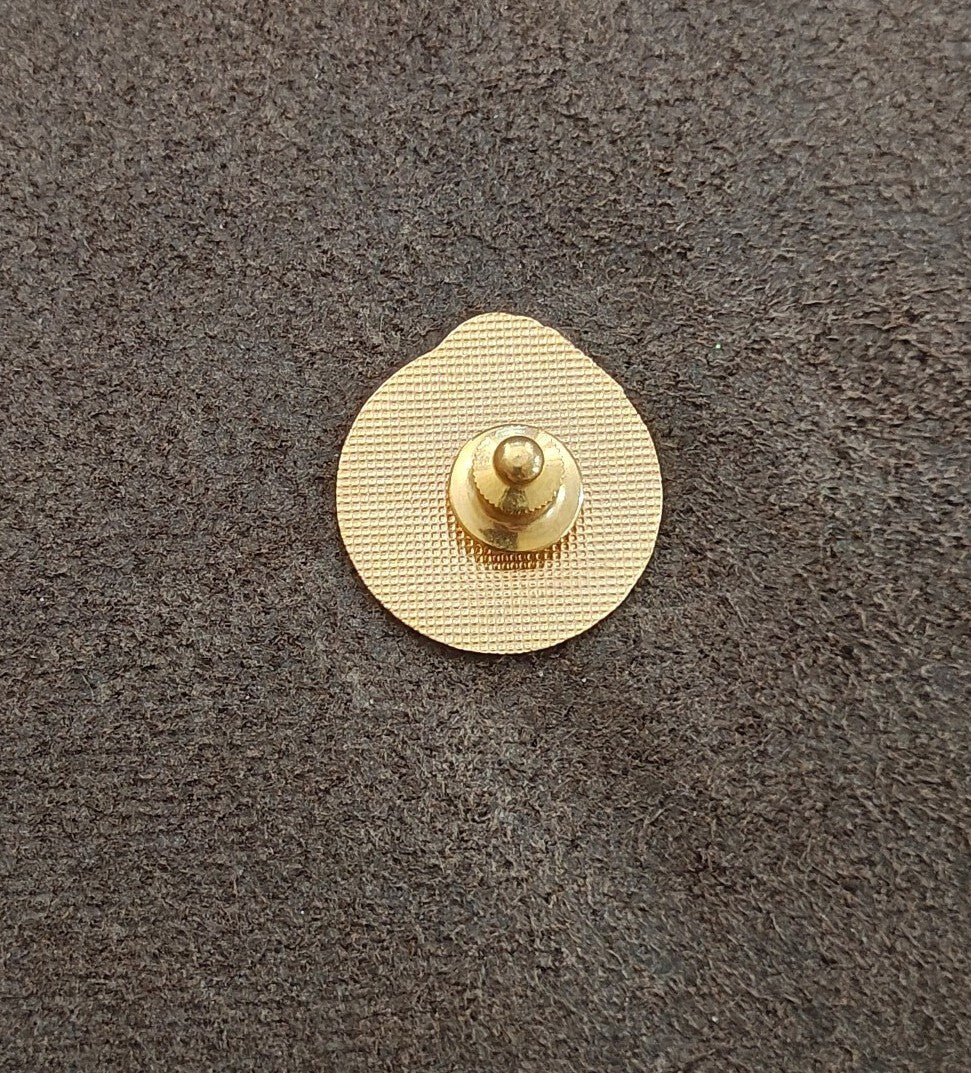 1980s Madison Wisconsin Hot Air Balloon Pin