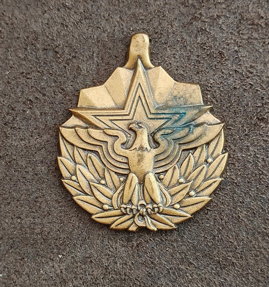 Vintage U.S. Meritorious Service Brass Medal