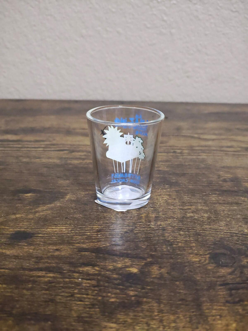 An Amazing Place To Make Poor Choices Las Vegas Shot Glass