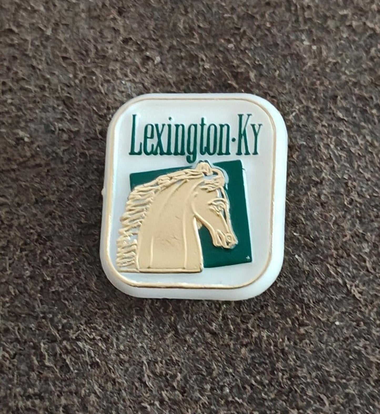 1970s/80s Lexington, Kentucky Travel Plastic Souvenir Pin