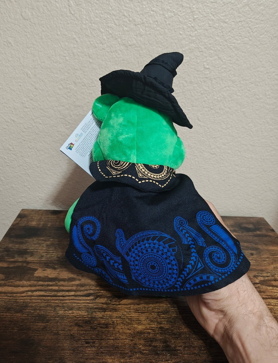 Rare Chase Variant Care Bears x Wicked Good Luck Bear as Elphaba Plush NWT