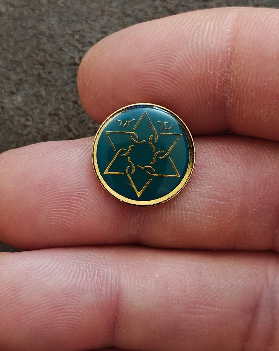 1980s Sar-El Israel Volunteer IDF Support Gold Tone Enamel Pin
