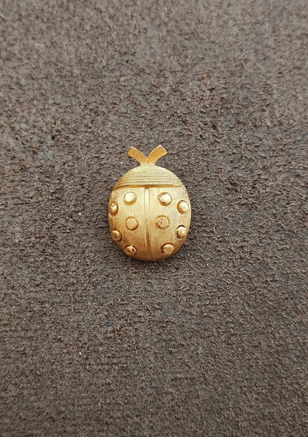 Gold-tone ladybug brooch shown small on background, oval textured body with dot details