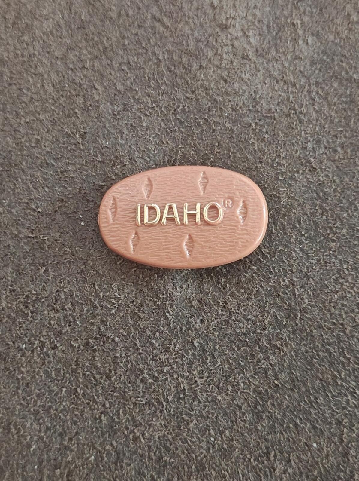 1980s Idaho State Potato Plastic Pin