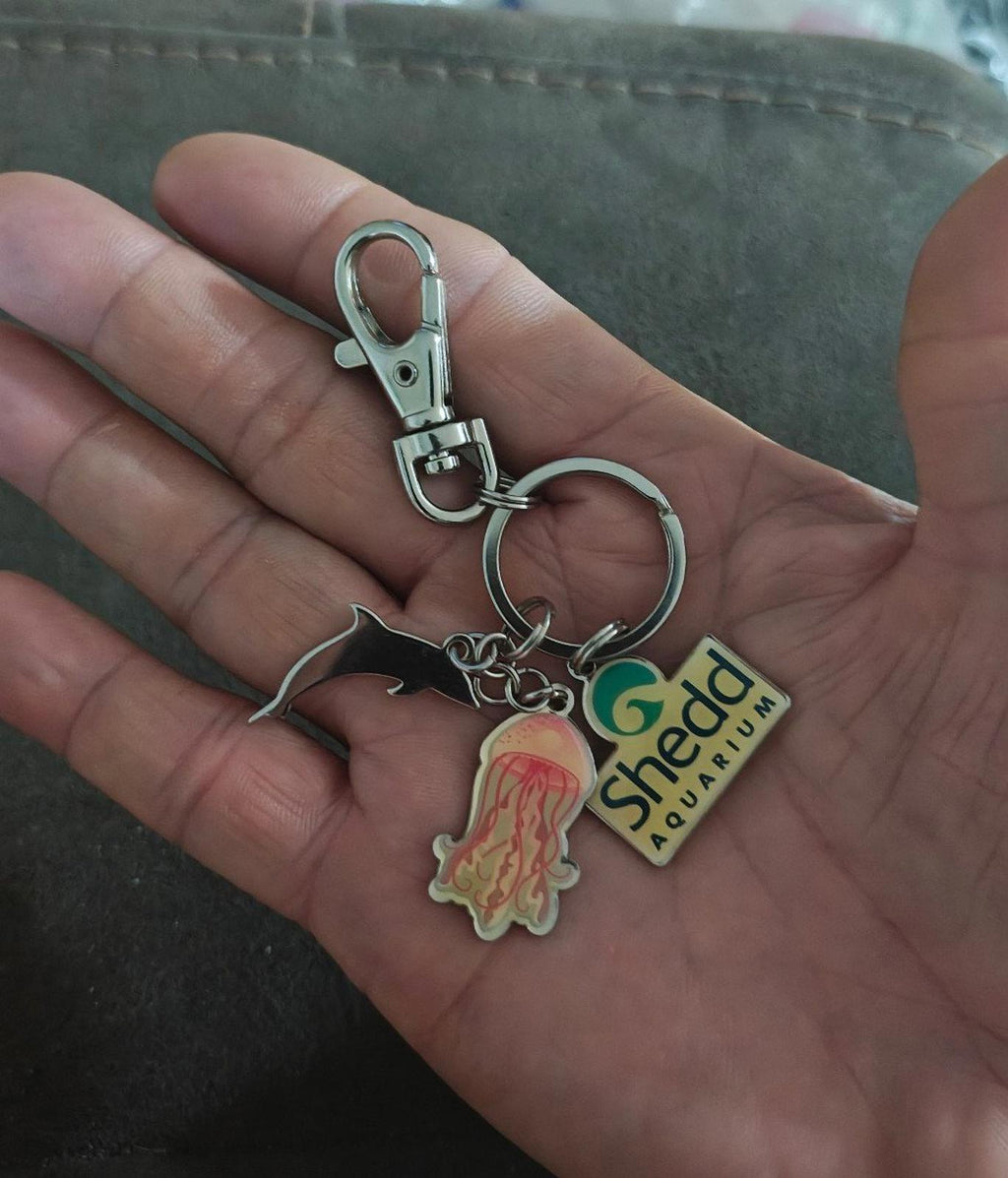 Silver keychain with dolphin, jellyfish, and Shedd Aquarium logo charms