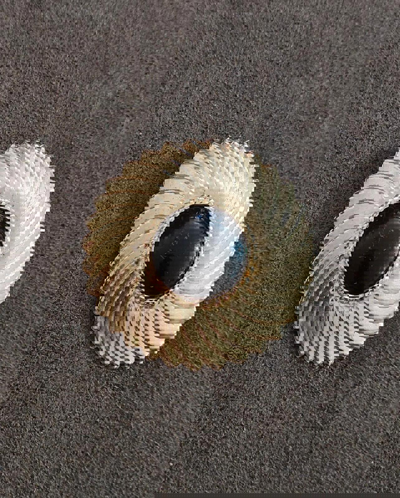 1980's Round Swirl & Black Lucite Resin Cabochon Scarf Clip