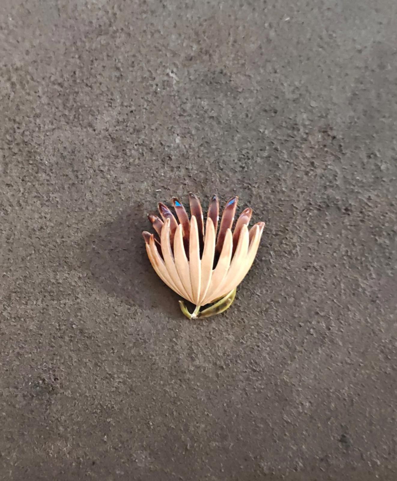 1970s Brown Beige Floral Enamel Brooch