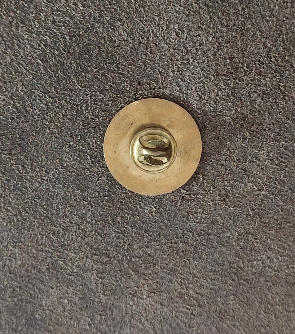 1980s America's Public Schools" Gold Tone Enamel Pin