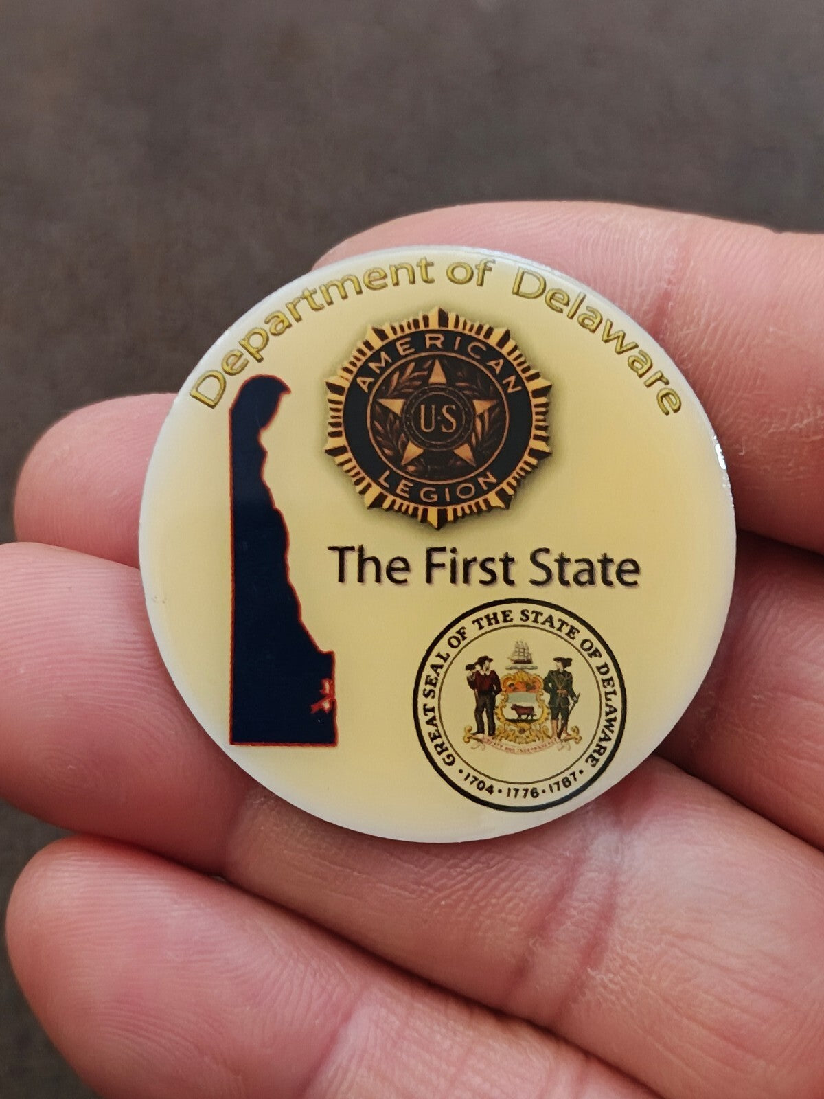 Rare American Legion Department of Delaware Gold Tone Pin