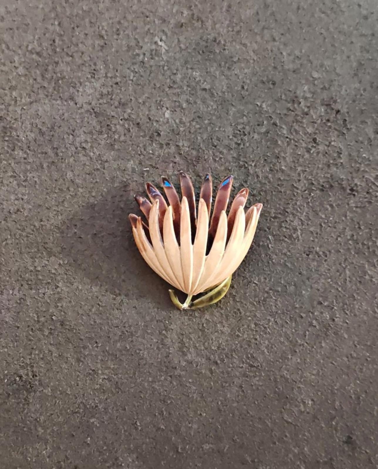 1970s Brown Beige Floral Enamel Brooch