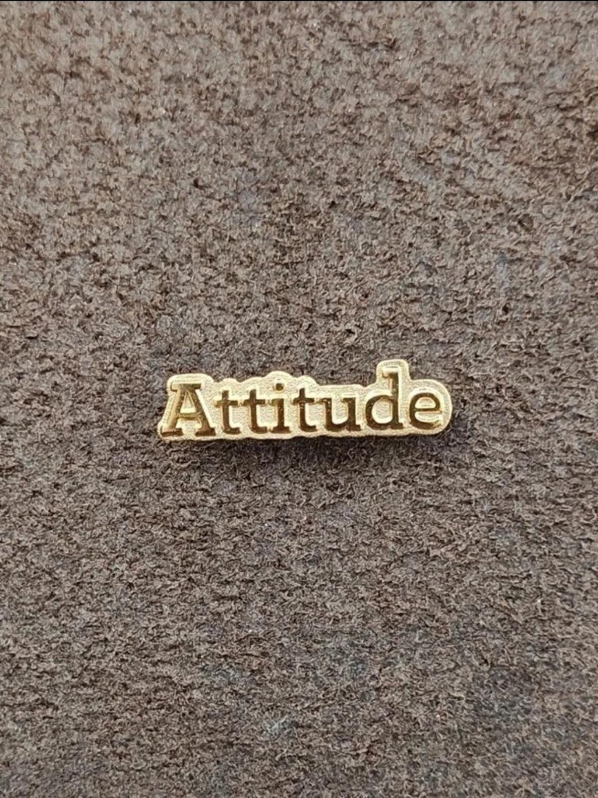 Gold Tone "Attitude" Pin