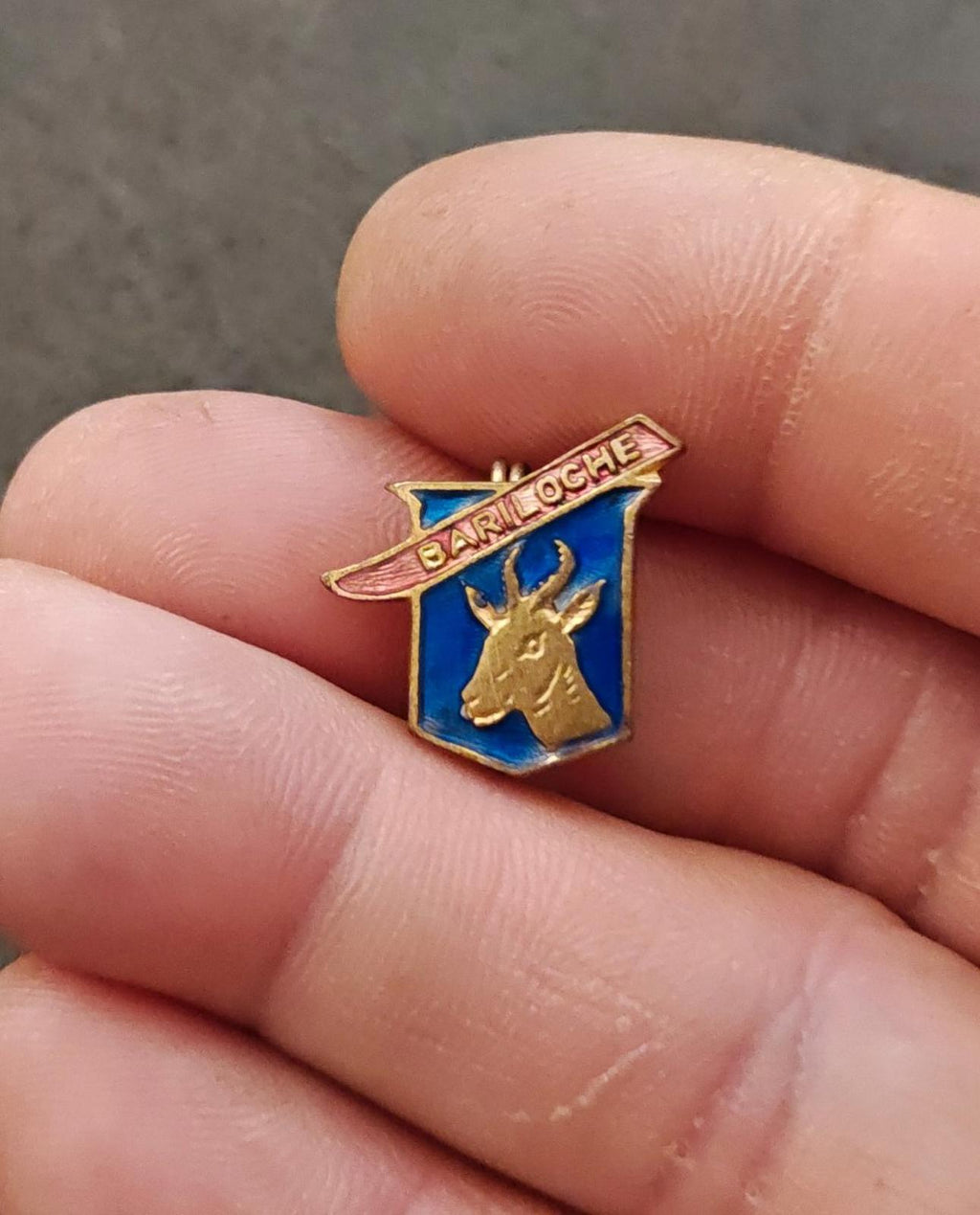 Gold-tone enamel souvenir pin in hand: blue shield deer figure with Bariloche banner