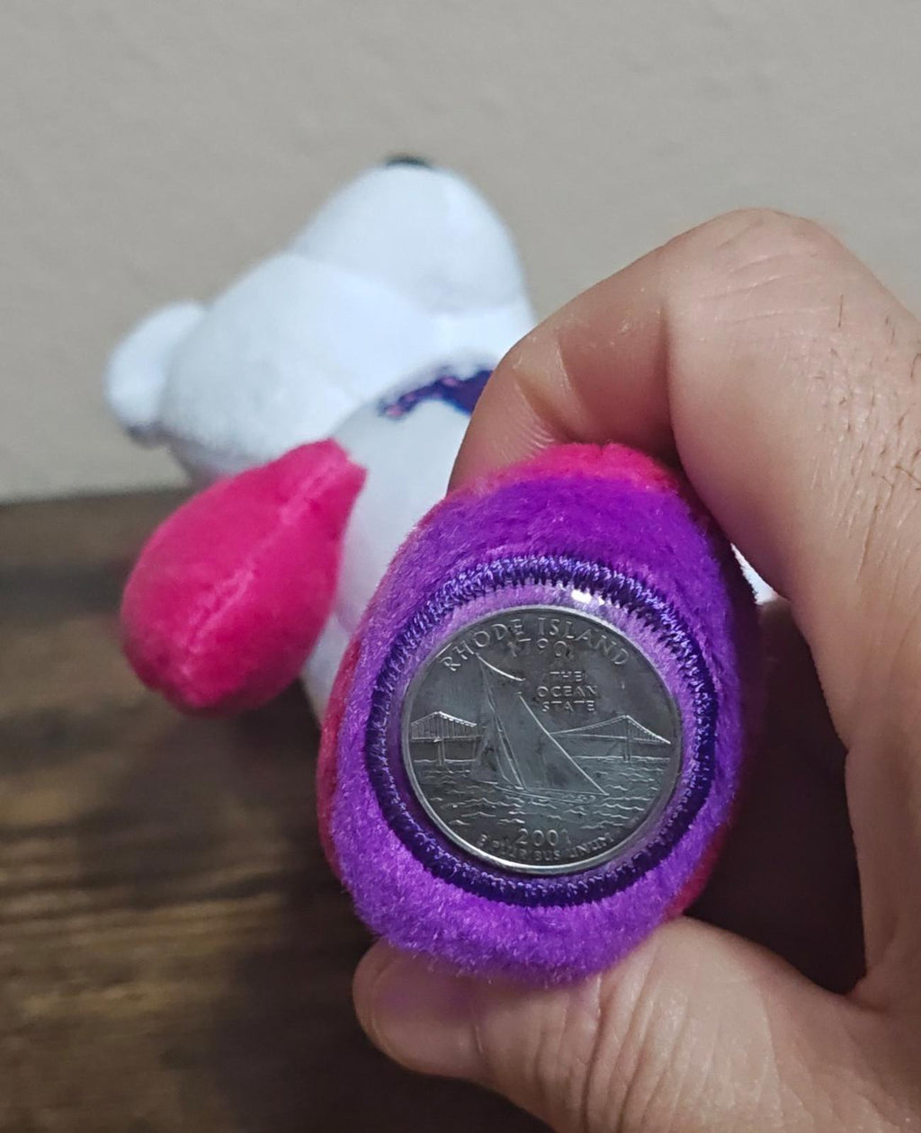 Close-up of plush bear coin capsule with a metallic coin inside purple felt.
