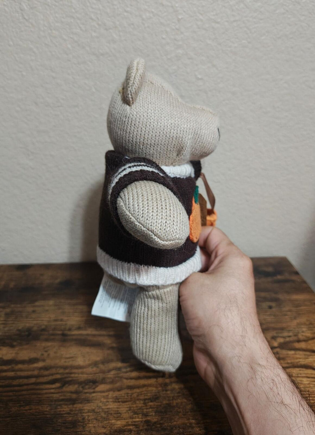 Retired Collectible Starbucks Autumn 2009 Bearista Bear (85th Edition) Plush