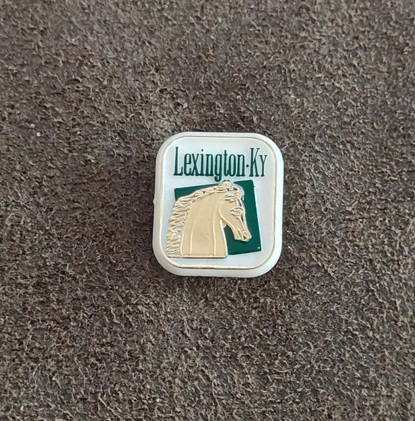 1970s/80s Lexington, Kentucky Travel Plastic Souvenir Pin