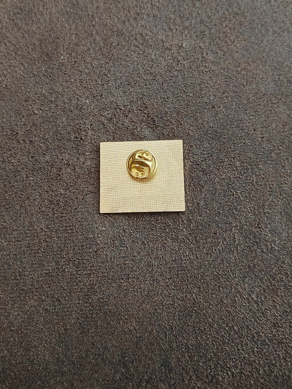 1990s BPOE Elks Lodge 810 Pontiac-Waterford Michigan State Pin