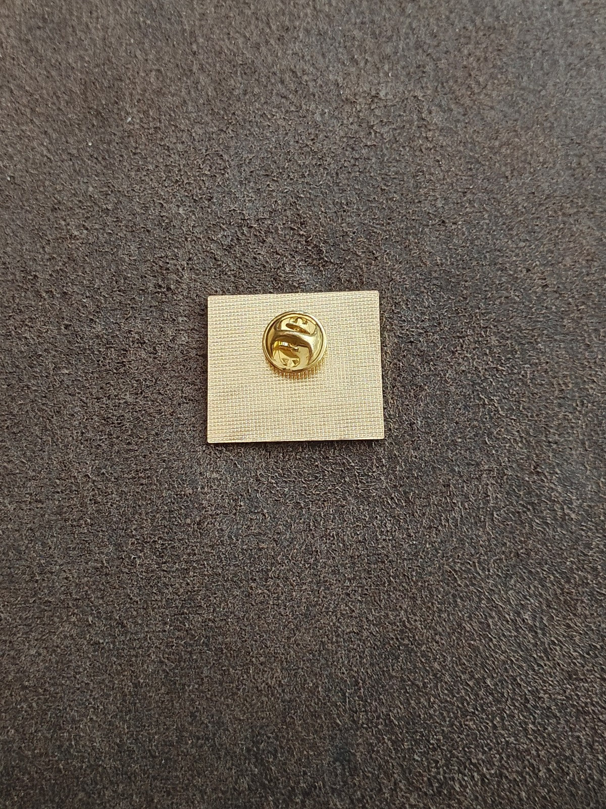 1990s BPOE Elks Lodge 810 Pontiac-Waterford Michigan State Pin