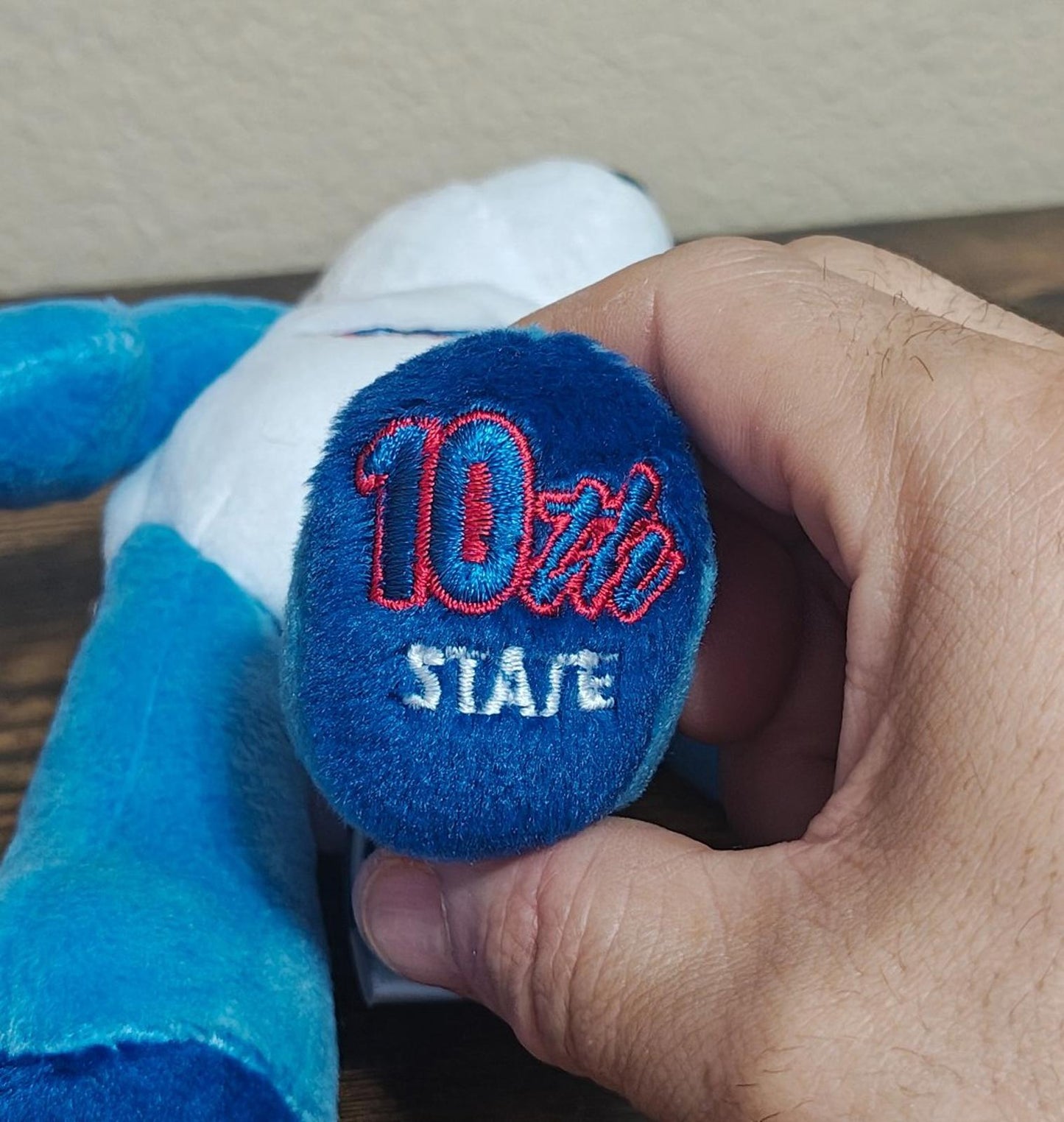 2001 Limited Treasures Virginia State Quarter Bear Collectible Plush