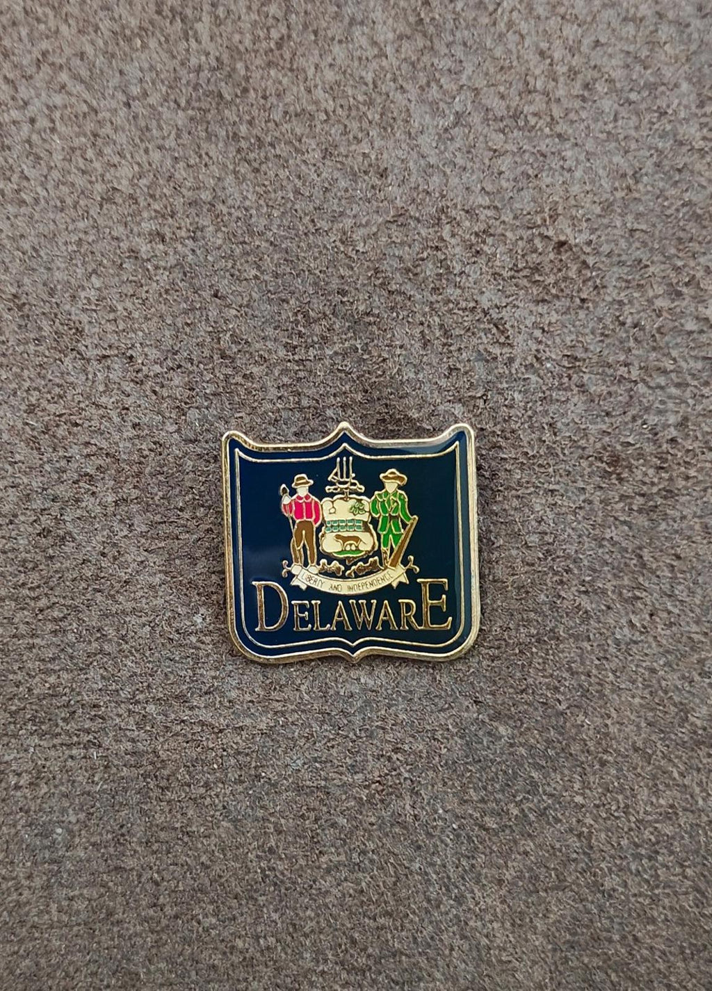 Enamel Delaware crest badge pin with “DELAWARE” lettering and gold-tone edge