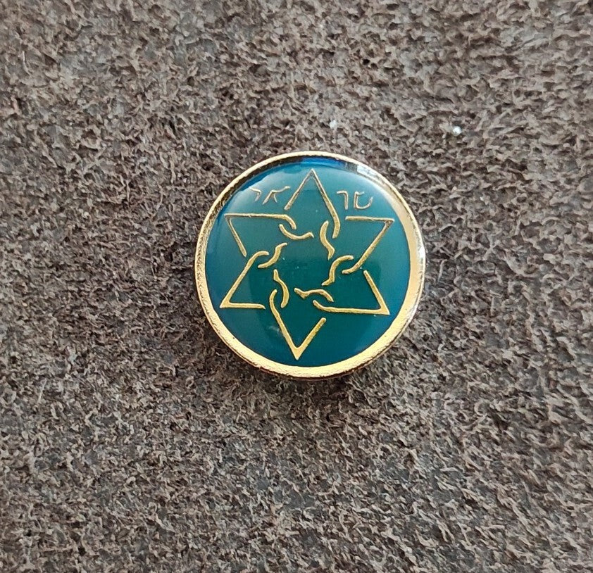 1980s Sar-El Israel Volunteer IDF Support Gold Tone Enamel Pin