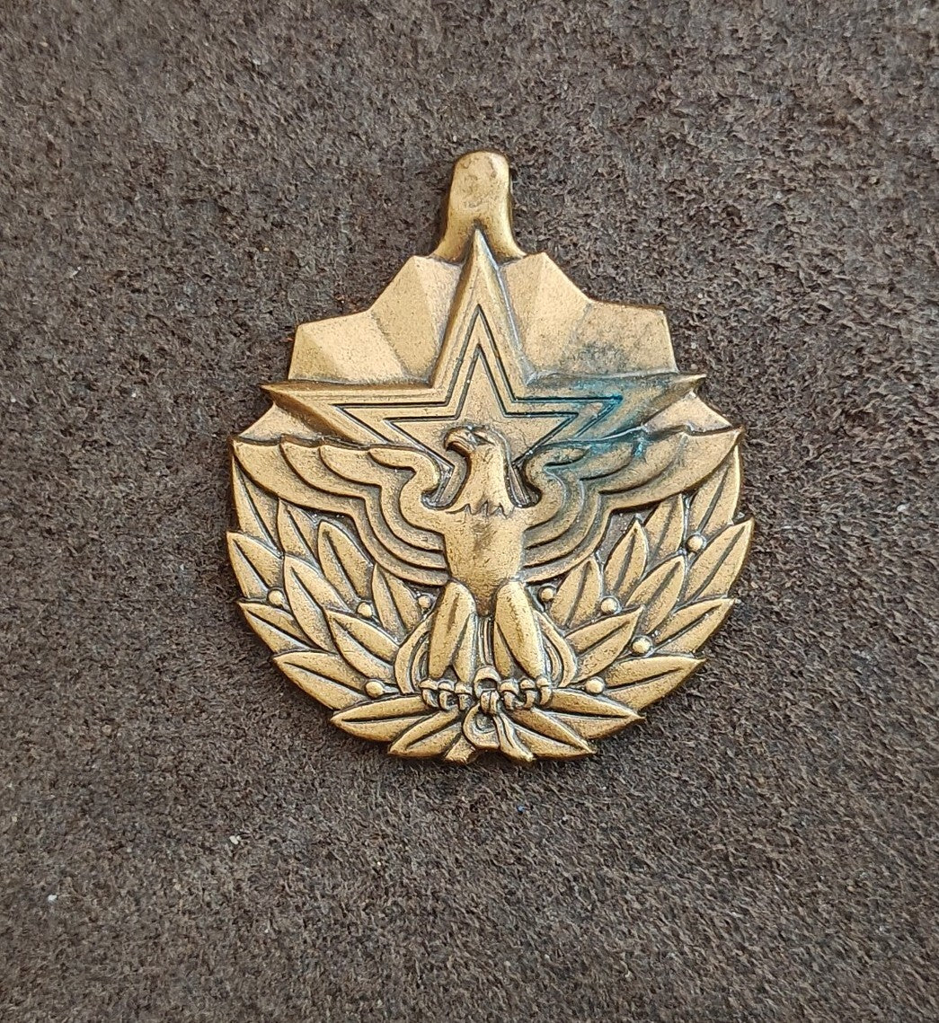 Vintage U.S. Meritorious Service Brass Medal